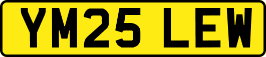 YM25LEW