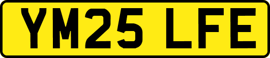 YM25LFE
