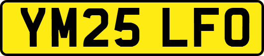 YM25LFO