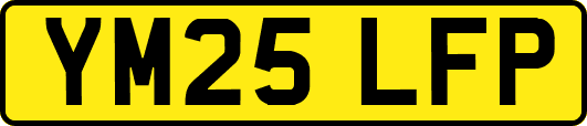 YM25LFP