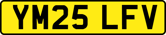 YM25LFV