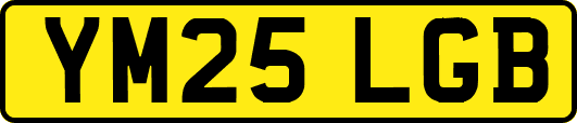 YM25LGB