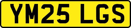 YM25LGS