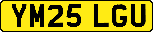 YM25LGU