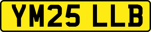 YM25LLB