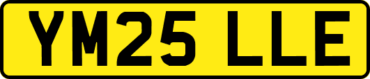 YM25LLE