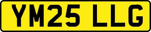 YM25LLG