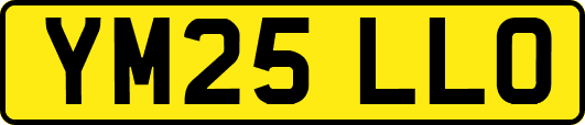 YM25LLO
