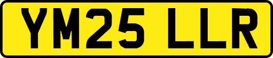 YM25LLR