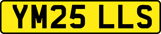 YM25LLS