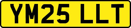 YM25LLT