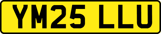 YM25LLU