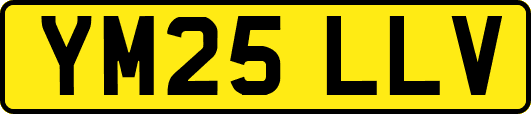 YM25LLV