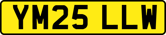 YM25LLW