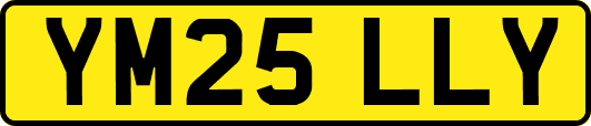YM25LLY