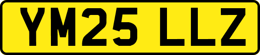 YM25LLZ