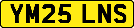YM25LNS