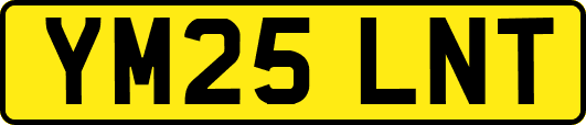 YM25LNT