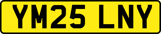 YM25LNY