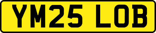 YM25LOB
