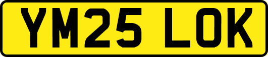 YM25LOK