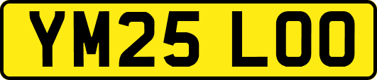 YM25LOO