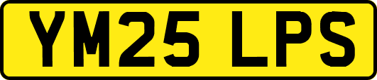 YM25LPS