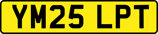YM25LPT