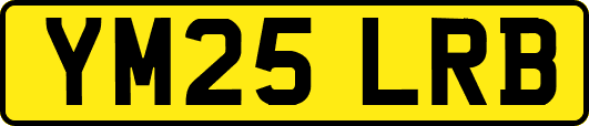 YM25LRB