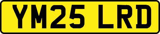 YM25LRD