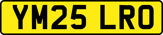 YM25LRO