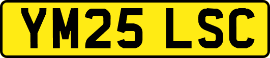 YM25LSC