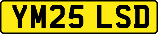 YM25LSD