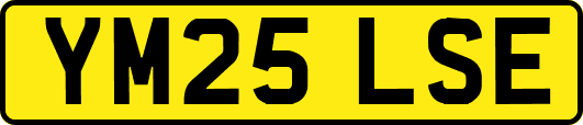 YM25LSE
