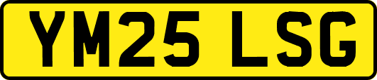 YM25LSG