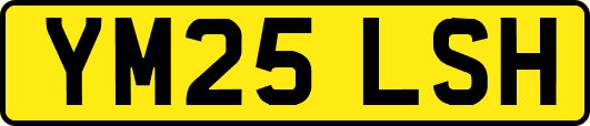 YM25LSH