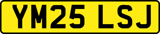 YM25LSJ