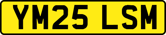 YM25LSM