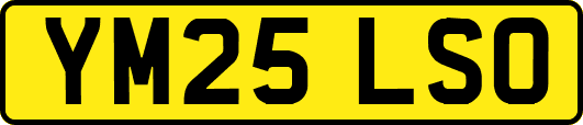YM25LSO