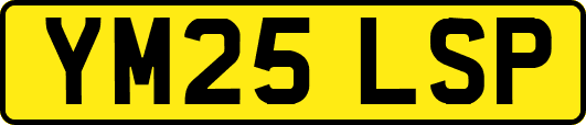 YM25LSP