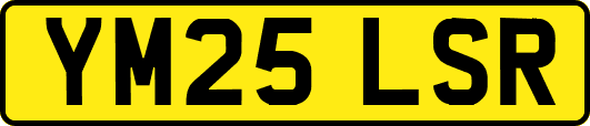 YM25LSR