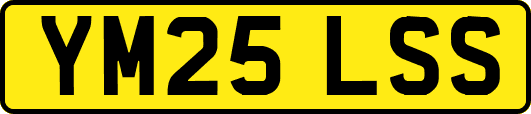 YM25LSS