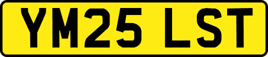 YM25LST