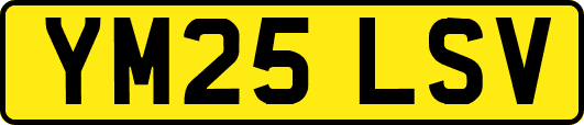 YM25LSV