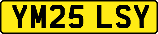 YM25LSY