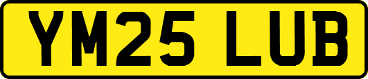 YM25LUB