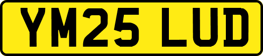 YM25LUD