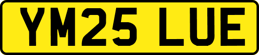 YM25LUE