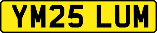YM25LUM