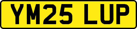 YM25LUP